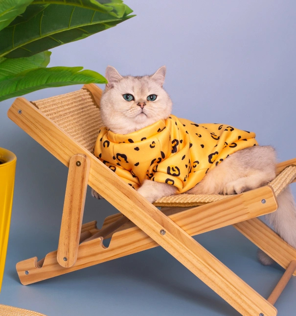 Cat Holistic Therapies