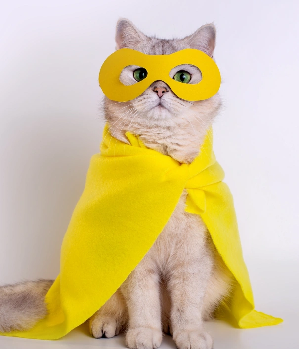 Cat Preventive Care